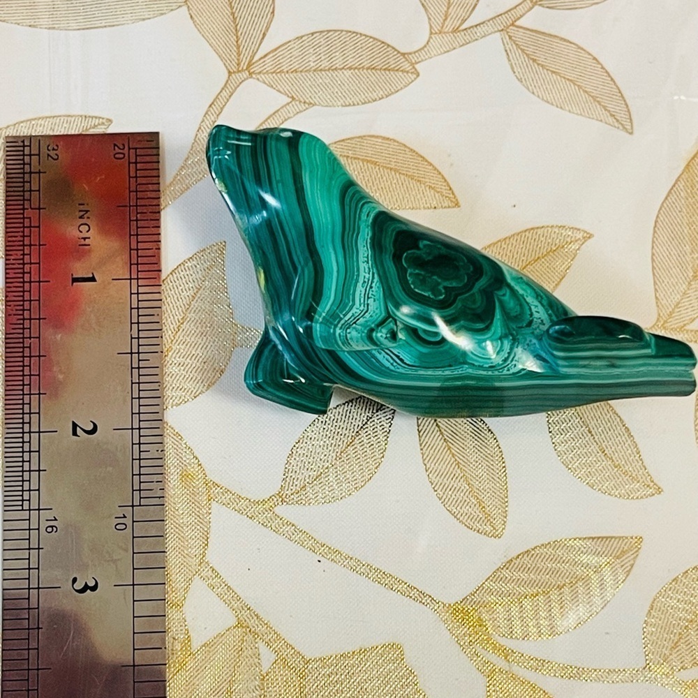 Polished Malachite Sea Lion Gemstone Green Roughly  Sz 3”